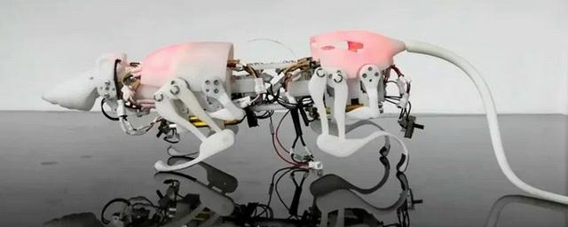 В Китае создан уникальный робот-крыса для спасательных работ
